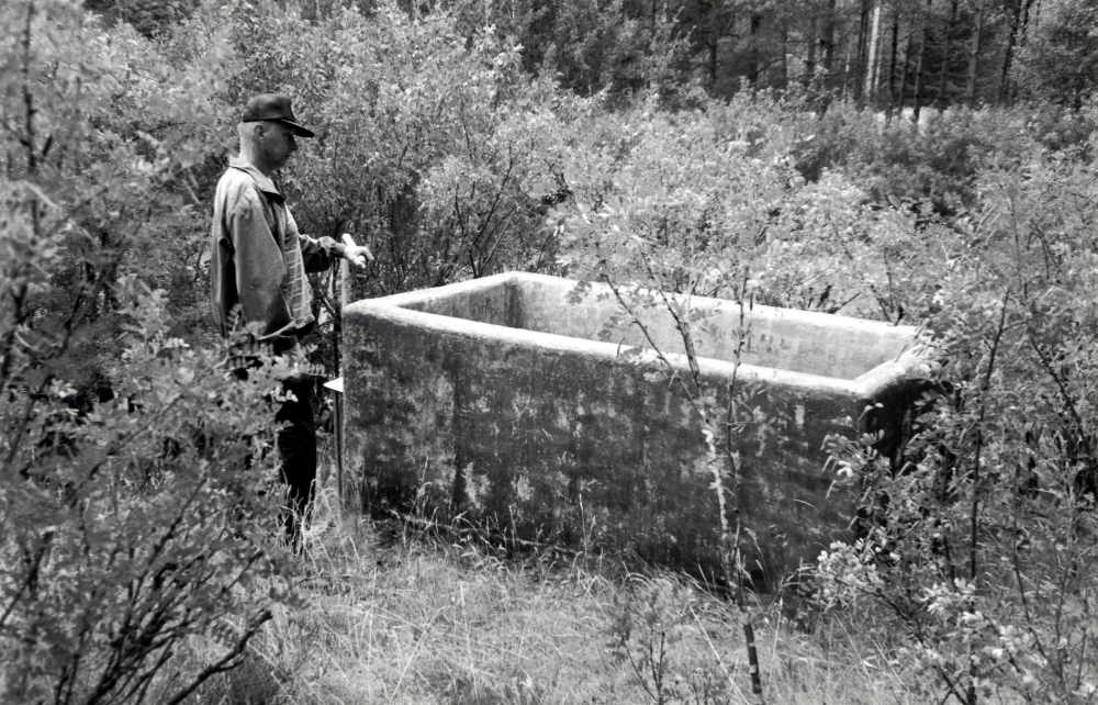 Rester av gammal bebyggelse vid Fågelsångsvägen.  Sommarstugan på tomten har rivits när Arningeleden byggdes.