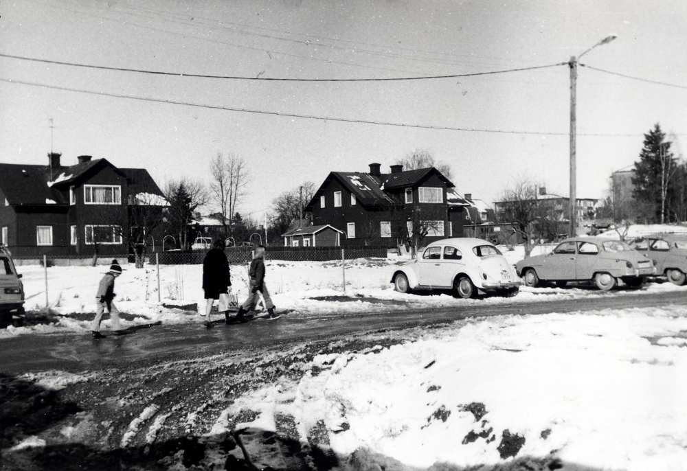 Tvillingvillorna eller syskonvillorna uppfördes omkring år 1915. De tillhör de första hyresfastigheterna som byggdes i Vallentuna villastad. Byggmästaren hette Karlsson Den södra villan revs inför byggstarten av Tärningen