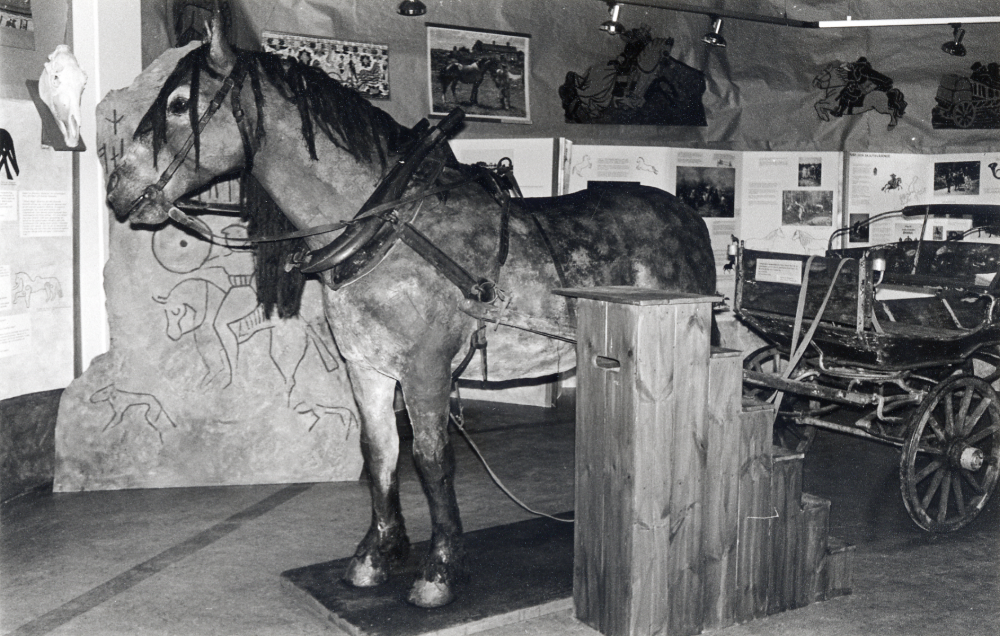 Människan och hästen – en utställning i Vallentunasalen av Eva Rahmqvist i samarbete med föreningar i Vallentuna och kulturförvaltningarna i Danderyd, Täby, Djursholm och Tyresö.  Utställningen visar hästens utveckling i människans närhet och tjänst. Här står nordsvensken Grane, tillverkad av Eva Rahmqvist och Gunilla Vidstige, med en vagn från Toftesta gård i Össeby-Garn