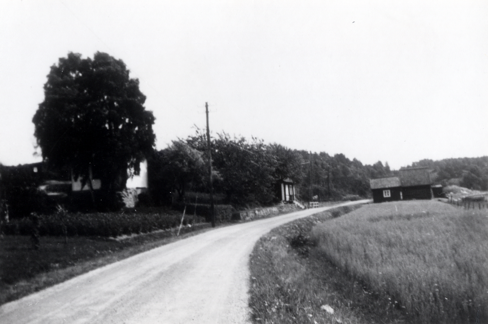 I det vita huset med blå knutar i Lilla Garn bodde bröderna Söderberg, "Söderbergarnas" Harald "Halle", Nestor, David och Ragnar. Huset kallades "Kajutan". Under husets gavel låg matkällaren. I det lilla röda huset på samma sida, kallat gamla Fridhem, bodde systern Olivia. Byggnaderna på andra sidan vägen är Söderbergarnas fiskestugor. Vägen kommer från Össeby-Garns kyrka, går igenom Lilla Garn och fortsätter mot Österåker.
Original och uppgifter John-Lars de Chasseur.