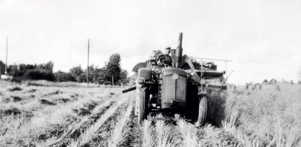 Rapsen skördas med tröska vid Ekskogens gård med en traktordragen skördetröska.  Vid ratten sitter Torsten Viman och Timo Ekholm sitter på tröskans säckknytarplats. I bakgrunden t v syns pumphuset vid gården och t h skymtar Lillgårdens tak.  Framför träden horisontellt går vägen mot Vada åt vänster och till Kårsta åt höger.

Timo och hans lillebror Sami kom till Sverige som finska krigsbarn 1944. Timo adopterades senare av ägarparet på Ekskogens gård i Kårsta, Inez och Manfred Ekholm. Läs mer i Timo Ekholms bok Krigsbarn 40.