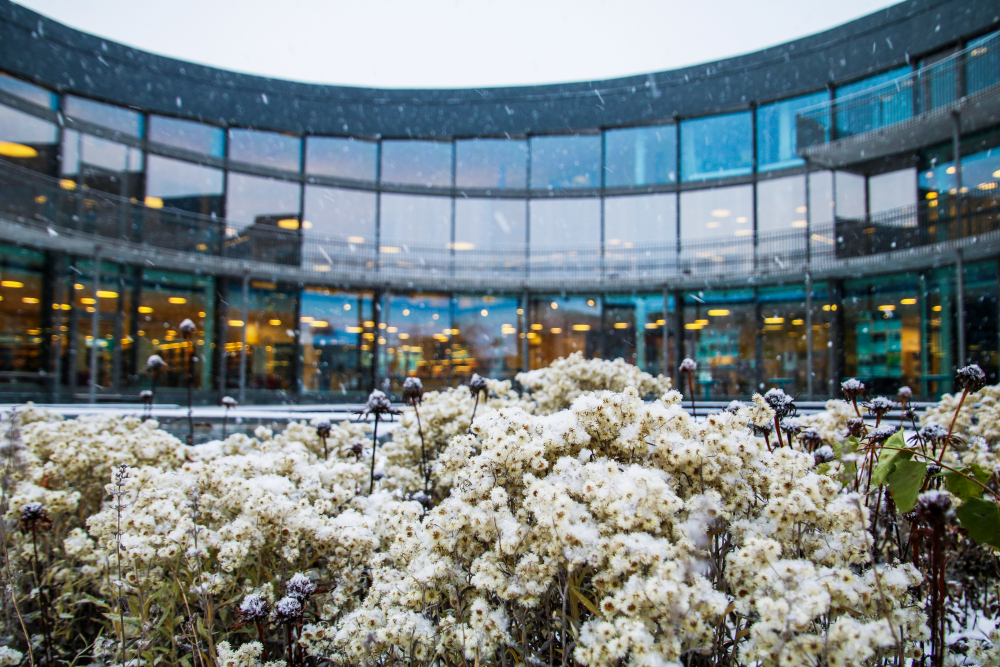 Kulturhusparken och innergården. I bakgrunden syns Kulturhusets fasad med fönster mot parken. Växterna har fått ett täcke av snö. Vallentuna Kulturhus och bibliotek ligger vid Allévägen, mitt i Vallentuna centrum. Huset invigdes hösten 2012 och de ljusa, rymliga lokalerna på drygt 2000 kvadratmeter rymmer ett stort och modernt bibliotek, utställningshallar, kreativ verkstad, café och flera scener. Här bedrivs verksamhet av främst kulturförvaltningen och fritidsförvaltningen, men också av föreningsliv, studieförbund och andra aktörer. Huset är ritat av Lars Gauffin på Nyréns arkitektkontor. Stockholms läns hembygdsförbunds nybyggnadspris tilldelades Vallentuna Kulturhus 2013. Library Ranking Europe (LRE) har gett Vallentuna bibliotek fem stjärnor av sex möjliga, med omdömet "excellent" åren 2017 och 2018.