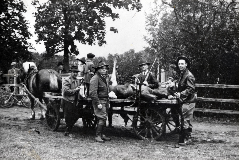 Jaktbytet forslas hem till Söderby gård i Angarn. Bytet, en älg, ligger på en vagn dragen av en häst. Pojken näst längst t h heter Lasse Mattsson.
Uppgift om fotoår saknas, men troligen mitten av 1900-talet.