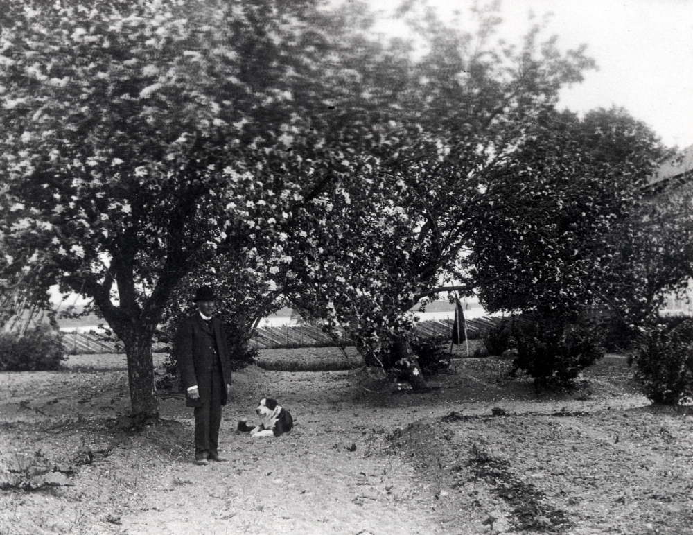 Bengt Carlsson, kallad BC,  bland blommande fruktträd i trädgården vid Väsby gård i Vallentuna.  T h ligger hunden, man hade alltid en St Bernhardshund.  Längst t h skymtar östra flygeln.  B Carlsson kom till Vallentuna från Jönköping och köpte gården 1906.  I bakgrunden syns Vallentunasjön