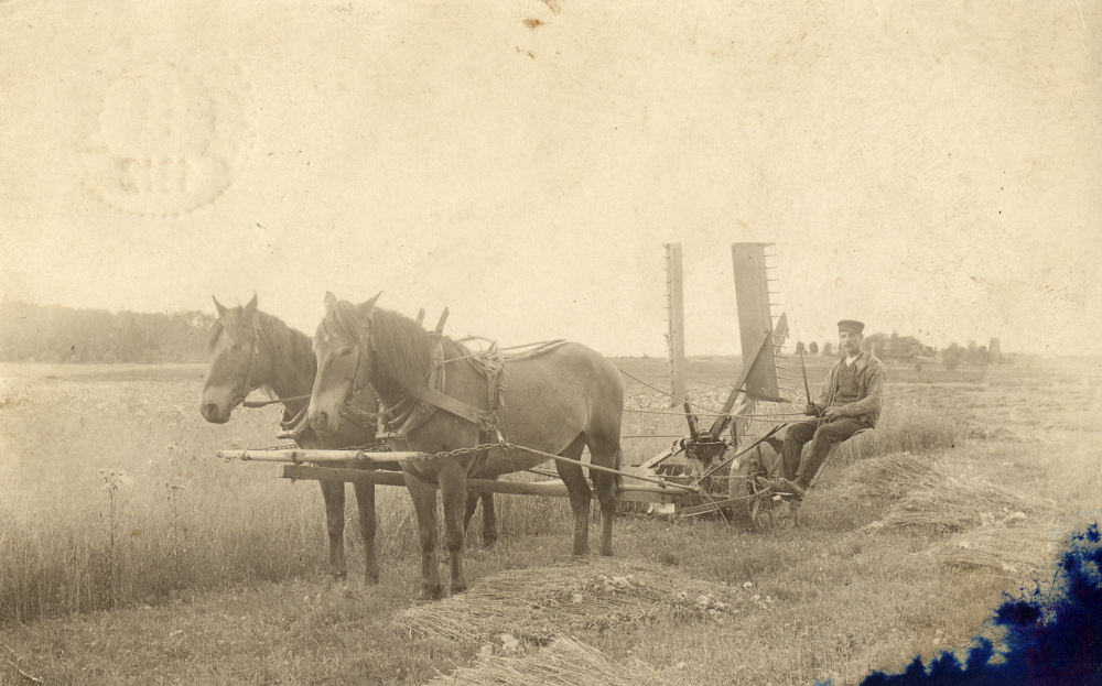 Vid skördearbete på Torsholma gård sitter  Leonard Jansson på en två hästars självavläggare ute i havreåkern.  Leonard är bror till gårdens ägare Ernst Jansson

Kopia av vykort poststämplat 13 oktober 1912, ställt till Wilhelmina Jansson, Thorsholma, Frösunda
