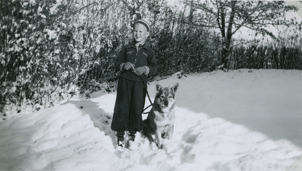 Timo Ekholm och gråhunden Ringe i snön vid Ekskogens gård. Vinterbild.

Timo och hans lillebror Sami kom till Sverige som finska krigsbarn 1944. Timo adopterades senare av ägarparet på Ekskogens gård i Kårsta, Inez och Manfred Ekholm. Läs mer i Timo Ekholms bok Krigsbarn 40.