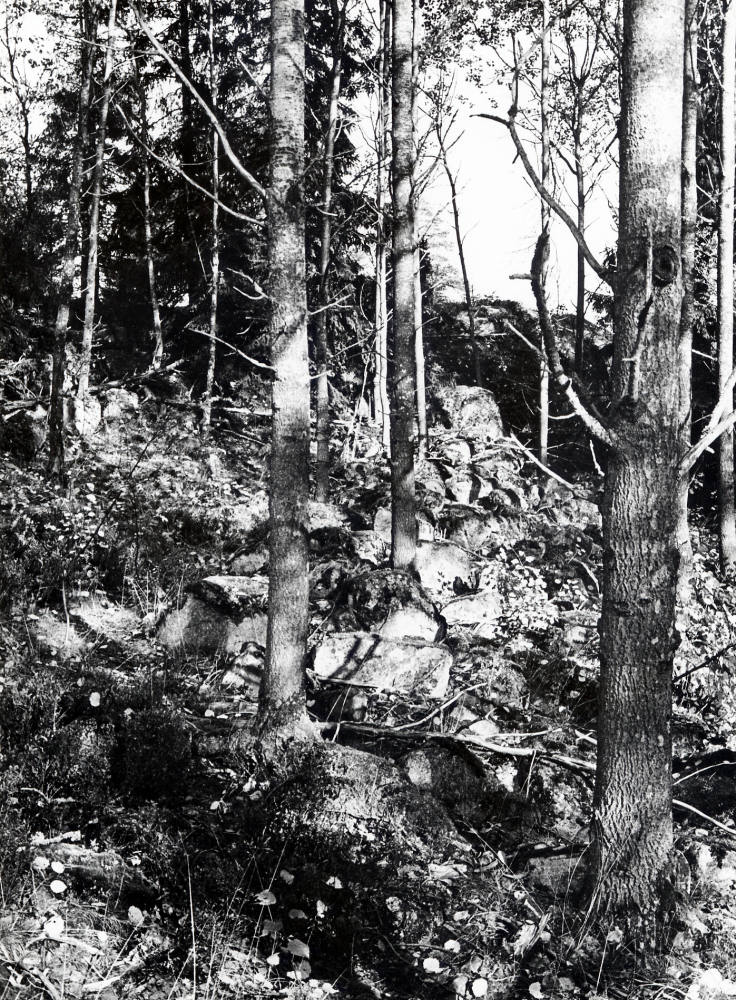Ett besök vid  fornborg 265  belägen vid  Fjället  nnv  Lingsberg  kan för den historiskt intresserad bli givande. Kring hela berget finns lämningar av murar och  skyddsvärn  Bilden visar en vall som sträcker sig rakt över en sänka söder om Fjället. Mellan fornborgen och Lingsberg finns en vacker beteshage som för tusen år sedan var en begravningsplats. Det är lätt att se spåren efter gravarna.