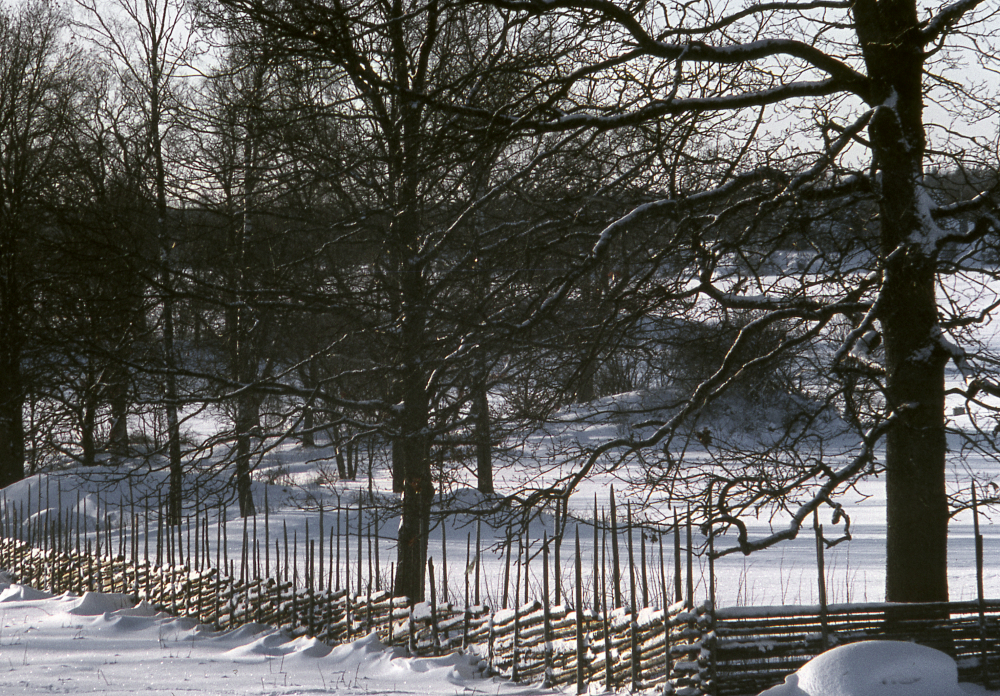 Det gamla kulturlandskapet vid Skesta hage. Vinter. Snö. Fotografiet ingår i bildserien Angarnssjöängen 1970 som köptes av Vallentuna kommun och gjordes mot bakgrund av den oro som fanns bland naturvänner då Stockholm stad planerade en ny stad i området med upp mot 100 000 invånare. Så småningom övergavs planerna och istället bildade Länsstyrelsen naturreservat 1982.