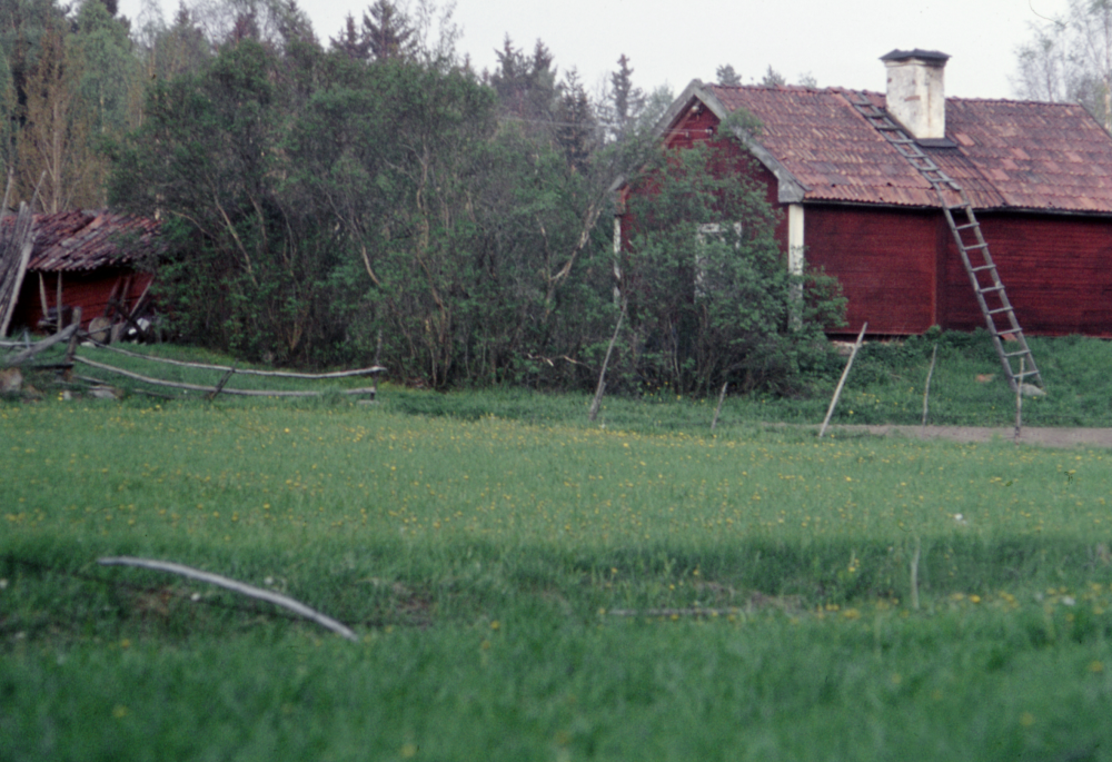 Vid Norrtorp. Fotografiet ingår i bildserien Några torp i Vallentuna 1970 som köptes av Vallentuna kommun. Dokumentationen gjordes mot bakgrund av den snabba förvandling av kulturlandskapet som skett och ännu sker. Många torp anlades under den svenska landsbygdens folkökning under slutet av 1700-talet och decennierna framöver. Dessa torp och små gårdar försvinner alltmer då de inte längre är lönsamma. Kulturmiljö.