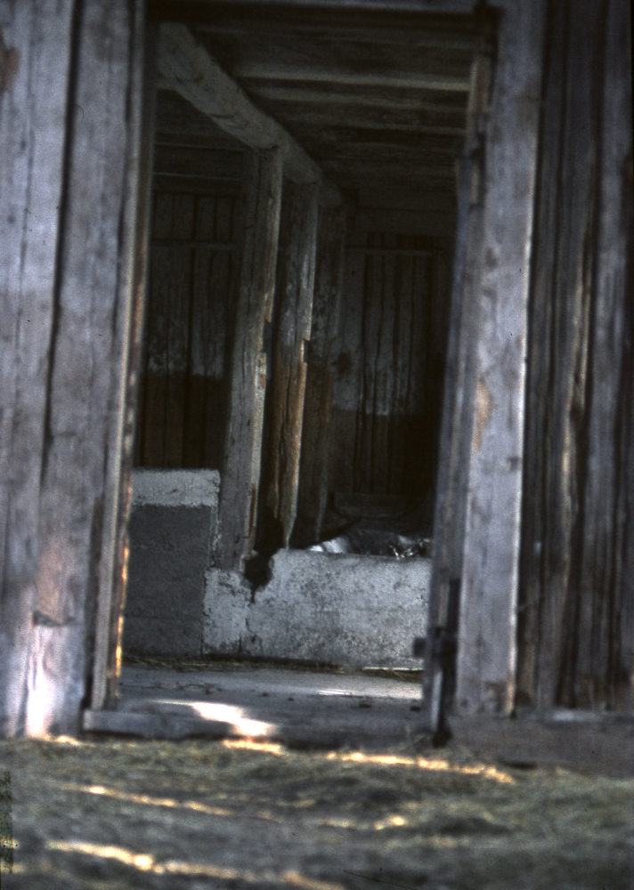 Inne i den gamla ladugården vid Strömstorp. Fotografiet ingår i bildserien Några torp i Vallentuna 1970 som köptes av Vallentuna kommun. Dokumentationen gjordes mot bakgrund av den snabba förvandling av kulturlandskapet som skett och ännu sker. Många torp anlades under den svenska landsbygdens folkökning under slutet av 1700-talet och decennierna framöver. Dessa torp och små gårdar försvinner alltmer då de inte längre är lönsamma. Kulturmiljö.