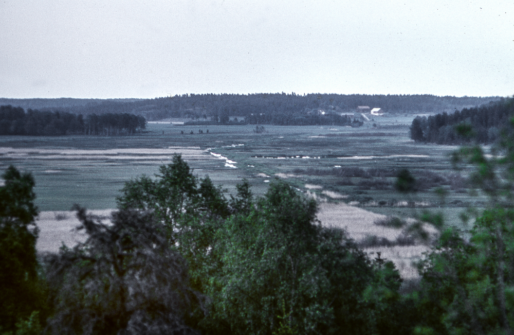 Vy från Klosterbacken. Fotografiet ingår i bildserien Angarnssjöängen 1970 som köptes av Vallentuna kommun och gjordes mot bakgrund av den oro som fanns bland naturvänner då Stockholm stad planerade en ny stad i området med upp mot 100 000 invånare. Så småningom övergavs planerna och istället bildade Länsstyrelsen naturreservat 1982.