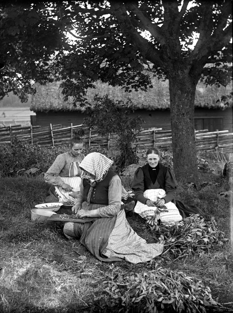 Tre kvinnor. Platsen är okänd.