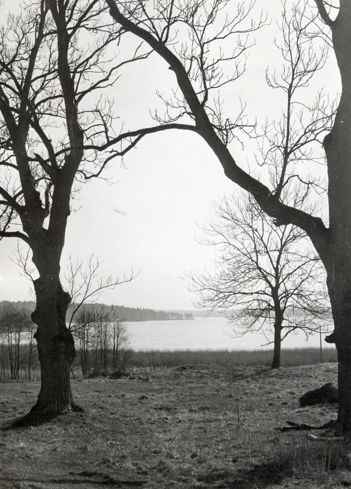 Utsikt över Vallentunasjön  från  Korsbacken  sydväst om Vallentuna kyrka. I bildens mitt skjuter  Bällsta udde  ut i sjön