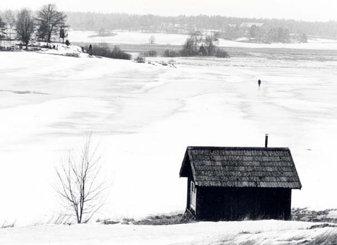 Angarnsjöängen i slutet av mars 1984