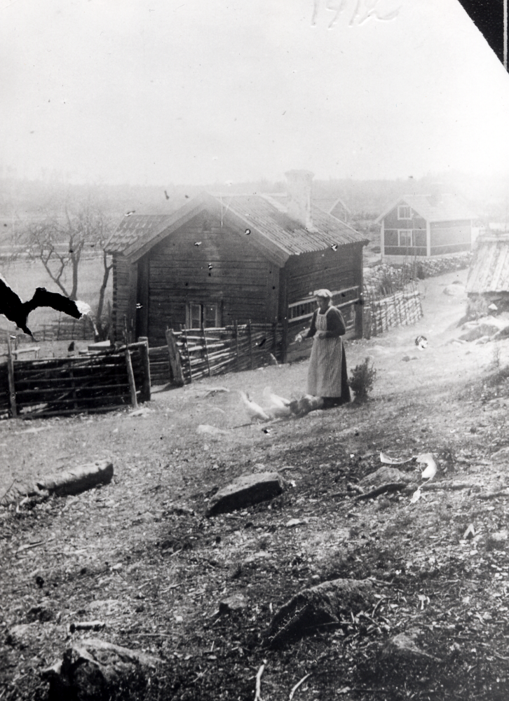 Judit Widén matar hönsen vid Sjöberg i Frösunda.  Torpet hörde till Solsta och hade fastighetsbeteckning Solsta 1:4.  Torpet finns kvar och ligger på östra sidan om vägen mellan Lindholmen och Frösunda på krönet efter avfarten mot Solsta.  Paret som bodde på Sjöberg hette Axel och Maria Widén