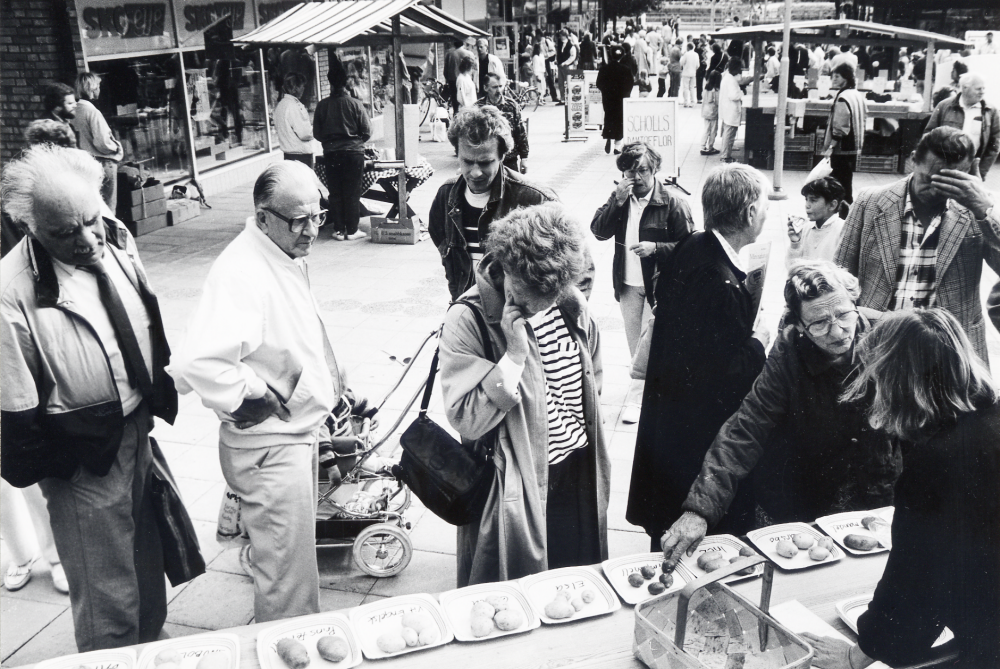 Vallentuna marknad på Tuna torg den andra lördagen i september, arrangerad av Vallentuna hembygdsförening.  Här visar BOK, Biologisk odlar och konsumentförening, olika sorters potatis