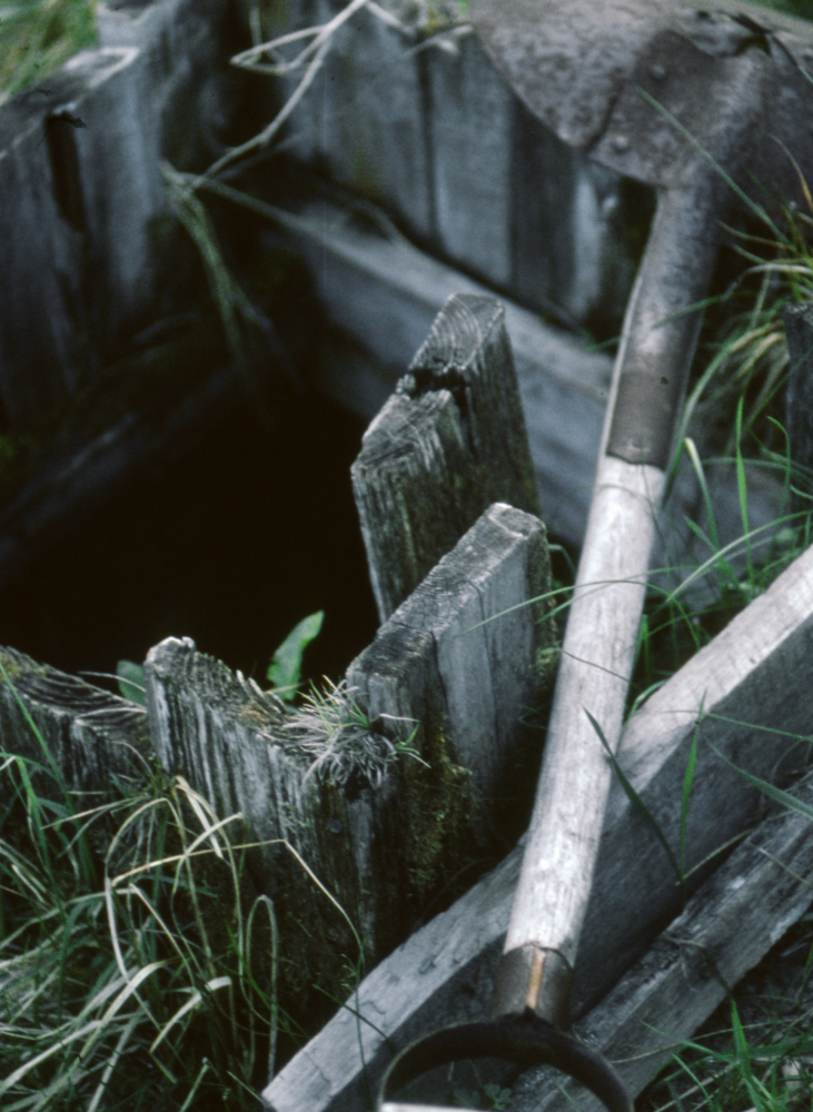 En gammal brunn vid Norrtorp. Fotografiet ingår i bildserien Några torp i Vallentuna 1970 som köptes av Vallentuna kommun. Dokumentationen gjordes mot bakgrund av den snabba förvandling av kulturlandskapet som skett och ännu sker. Många torp anlades under den svenska landsbygdens folkökning under slutet av 1700-talet och decennierna framöver. Dessa torp och små gårdar försvinner alltmer då de inte längre är lönsamma. Kulturmiljö.