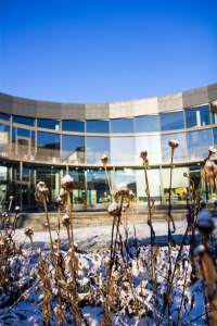 Kulturhusparken och innergården. I bakgrunden syns Kulturhusets fasad med fönster mot parken. Växterna har fått ett täcke av snö. Vallentuna Kulturhus och bibliotek ligger vid Allévägen, mitt i Vallentuna centrum. Huset invigdes hösten 2012 och de ljusa, rymliga lokalerna på drygt 2000 kvadratmeter rymmer ett stort och modernt bibliotek, utställningshallar, kreativ verkstad, café och flera scener. Här bedrivs verksamhet av främst kulturförvaltningen och fritidsförvaltningen, men också av föreningsliv, studieförbund och andra aktörer. Huset är ritat av Lars Gauffin på Nyréns arkitektkontor. Stockholms läns hembygdsförbunds nybyggnadspris tilldelades Vallentuna Kulturhus 2013. Library Ranking Europe (LRE) har gett Vallentuna bibliotek fem stjärnor av sex möjliga, med omdömet "excellent" åren 2017 och 2018.