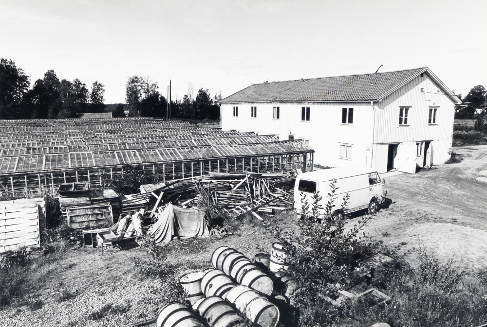 Heidmarks handelsträdgård i  Bällsta  startades 1927 av  Ture och Helge Pettersson.  Man odlade rosor, pelargoner, azaleor, julstjärnor, tulpaner och andra lökväxter, krysantemum, tomater m m. 1975 såldes marken till  Skånska cement  och verksamheten upphörde 1979.  Här syns  växthusen  t v och lager m m t h