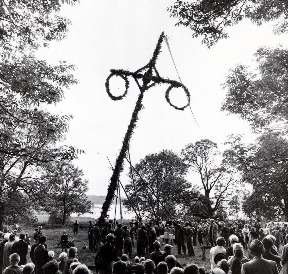 Midsommarstången reses på Kyrkängen nedanför Vallentuna kyrka
