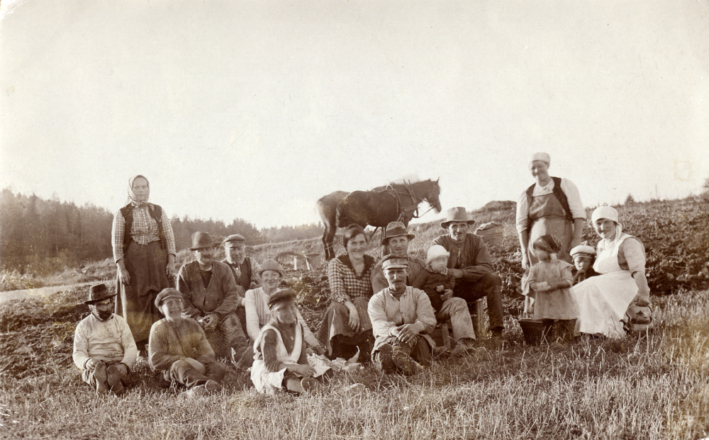 Kaffestund  vid potatisplockningen på Torsholma gård i Frösunda.   I arbetet deltar r v Drängen Anders, ? Söderström faster till gårdens ägare Ernst Jansson, Evert Ljungblom, kördrängen Pettersson, okänd, okänd, Maria Jansson gift med Ernsts bror, okänd, Verner Kraft, Emanuel Jansson Ernsts bror, Erik Jansson son till Emanuel och Maria, gårdens ägare Ernst Jansson, Dorotea Kraft, gift med Verner,  barnen till gårdens ägare Anne-Marie och Gustaf Jansson samt  Ernsts hustru Anna Jansson.