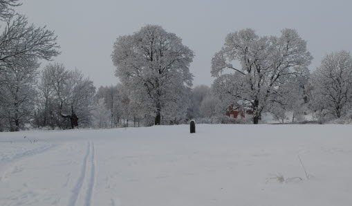 Skidspår