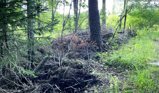 Dumpat trädgårdsavfall