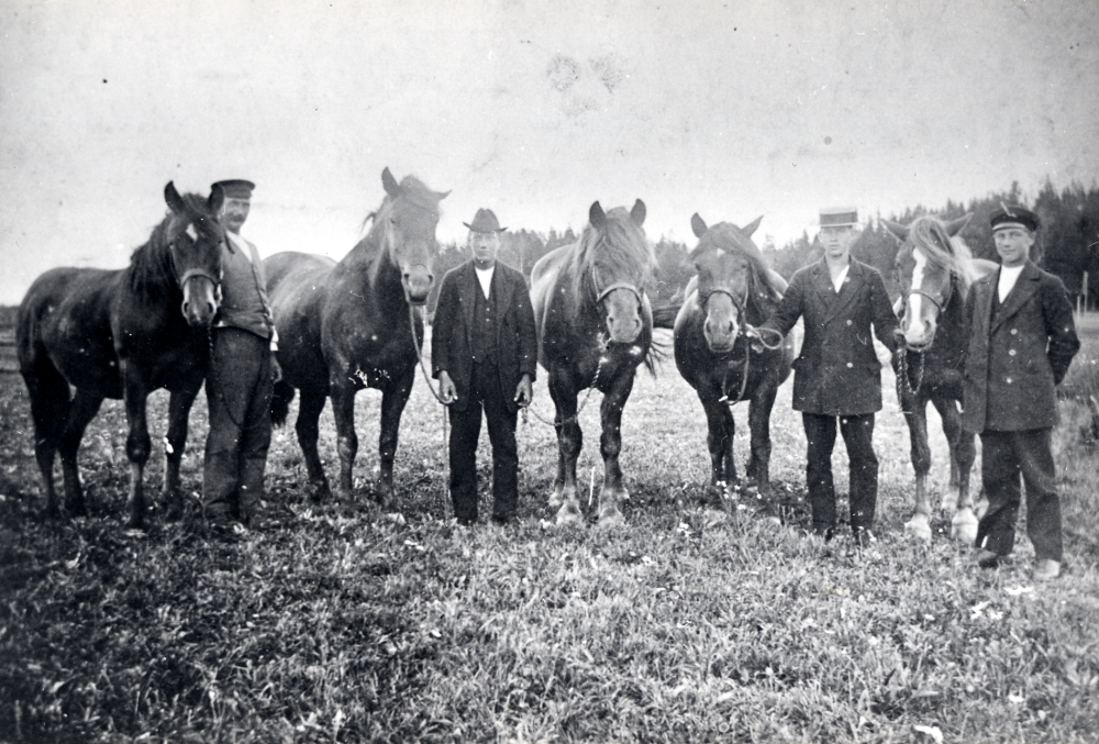Ett arbetslag vid Salby gård på 1920-talet med fem hästar. Fr v står Viktor Jansson, Jarl Asplund, Erik Söder och Bertil Jansson