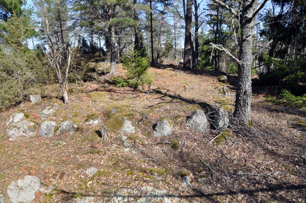 Ryssbacken är en sägenomspunnen backe i Frösunda. Den ligger norr om byn Vreda och där påstås att det har utkämpats ett slag mot ryssar. Troligen är det inte sant, men på toppen av kullen finns bland annat flera husgrunder.