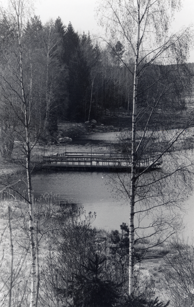 Stolp-Ekebysjön med nybygd brygga vid Solsta.  Kjell Wahlström från Solsta gård har tagit bort vass och gjort en öppen vattenyta i den tidigare så igenväxta Stolp-Ekebysjön