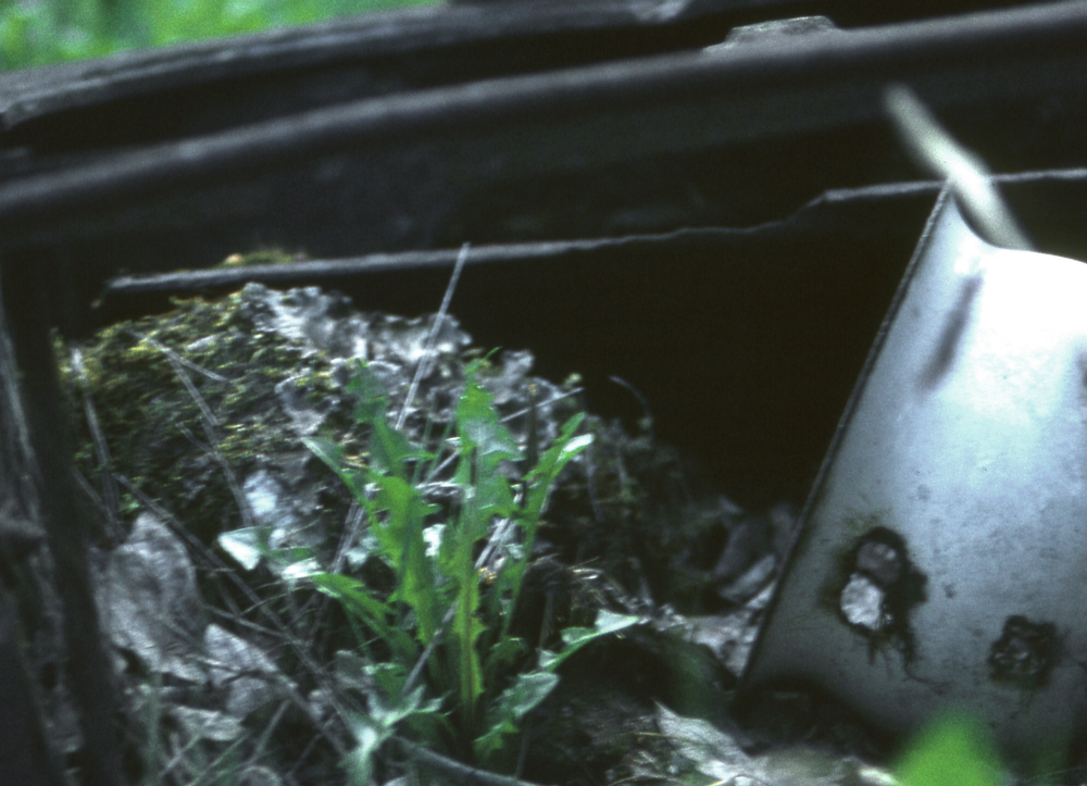 Torpruin vid Sibirien i Veda. Rester av vedspisen och en potta. Fotografiet ingår i bildserien Några torp i Vallentuna 1970 som köptes av Vallentuna kommun. Dokumentationen gjordes mot bakgrund av den snabba förvandling av kulturlandskapet som skett och ännu sker. Många torp anlades under den svenska landsbygdens folkökning under slutet av 1700-talet och decennierna framöver. Dessa torp och små gårdar försvinner alltmer då de inte längre är lönsamma. Kulturmiljö.