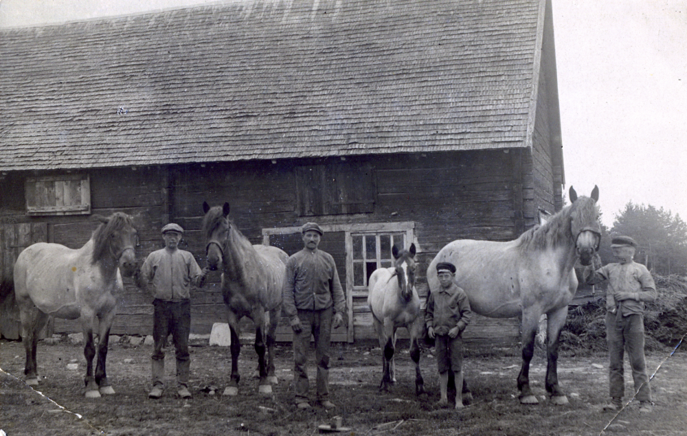 Uppställning med hästarna framför stallet. Tre män och en pojke. Eventuellt är det vid Saxta gård, 

Bild från Markim med anknytning till familjen Holm. Osäker uppgift om plats,  namnuppgifter saknas. 

EFTERLYSNING! Hör av dig till bildarkivet om du har information om bilden.