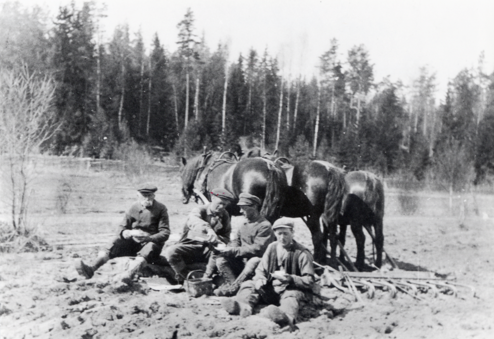 Kafferast vid harvning med tre hästar på Gunby gård i Össeby-Garn.  Fr v sitter Algot, Isidor, Simon och Hugo Bergqvist.  1999 bor Hugo och hans syster Rosa kvar på gården.  En dokumentär av Bengt Jägerskog,som vunnit flera pris i Europa, visades i SVT 2002, med Rosa och Hugos sista tid i Gunby samt flyttningen till Väsbygården.  Båda syskonen avled där 2001.