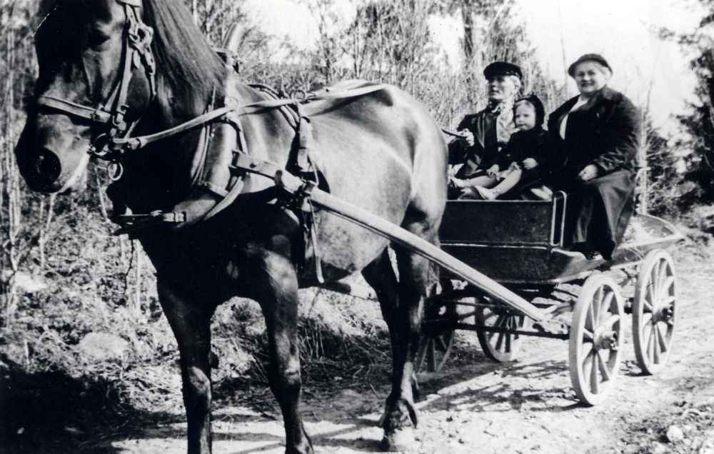 Häst och vagn från Stängselboda i Vallentuna. I vagnen sitter herr Wengelin och fru Wengelin och barnbarnet Maud. Wengelins sålde handelsträdgården till Rydells 1946