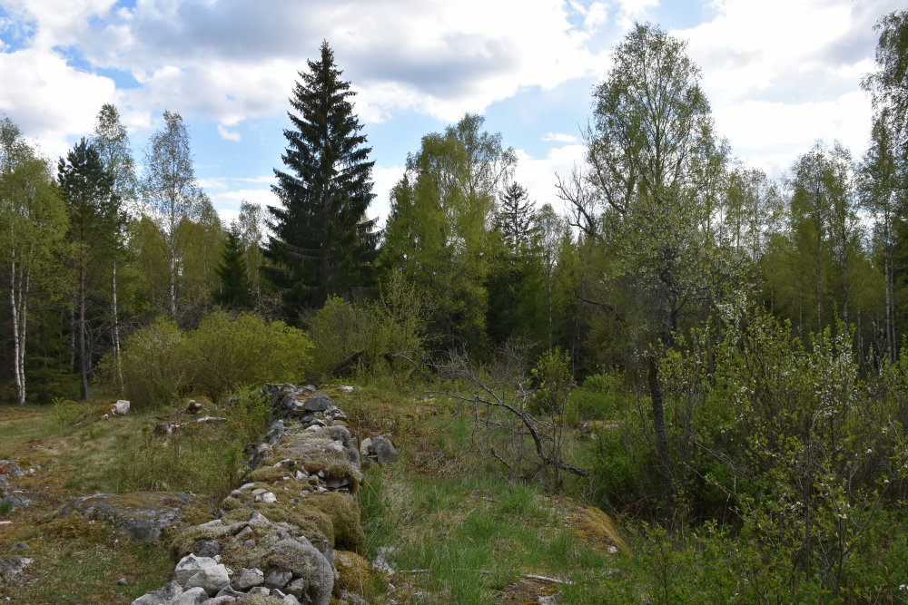 Av torpet Sibirien finns bara en ruin. 
Husgrund, jordkällare och stenmurar samt trädgårdsväxter som äppelträd och syren, vittnar om att det en gång har stått ett litet torp på platsen. Gran och tall har tagits bort för att frilägga resterna efter torpet och gynna de gamla trädgårdsväxterna. Arbetet har utförts av kommunen med stöd från Skogsstyrelsen.