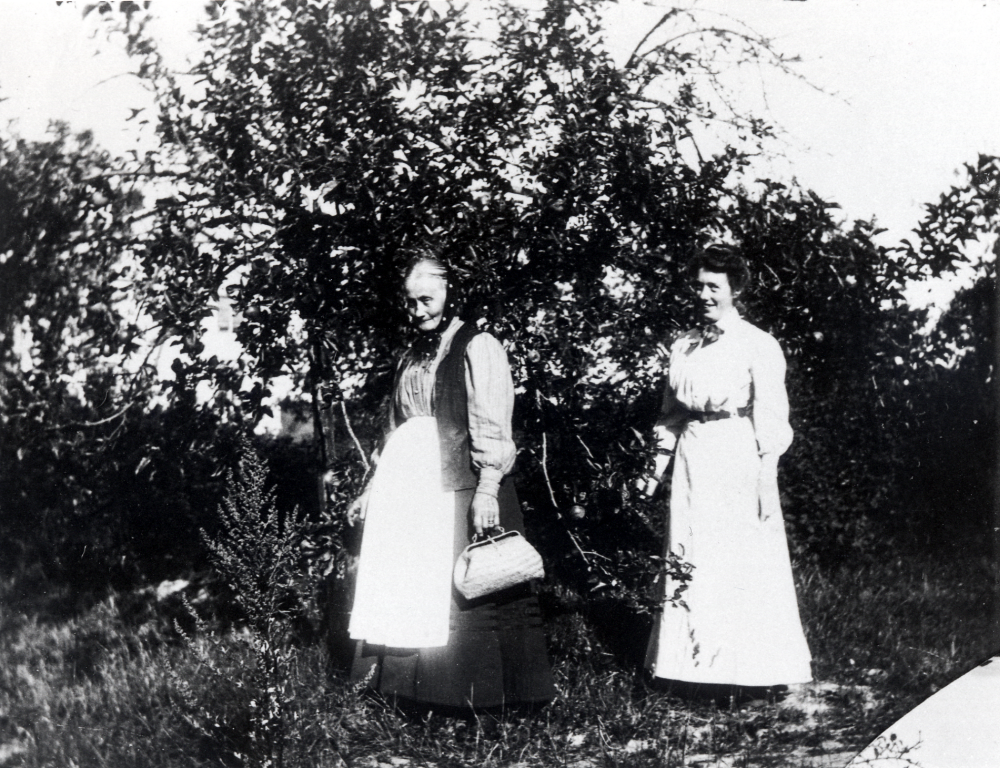 Johanna Carlsson med dottern Ester i trädgården vid Väsby gård.  Huset som skymtar i bakgrunden är gårdens huvudbyggnad.  Gården hade många äppelträd och Jennys syster Hanna var utbildad i trädgårdsskötsel i England.  Man sålde frukt bl a till Stockholm.  Johanna var gift med B C Carlsson, byggmästare från Jönköping som köpte Väsby gård 1906.  De är föräldrar till systrarna Hanna, Ester och Jenny samt sonen Ernst Gustav