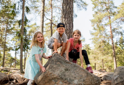 Barn som klättrar på en sten i skogen